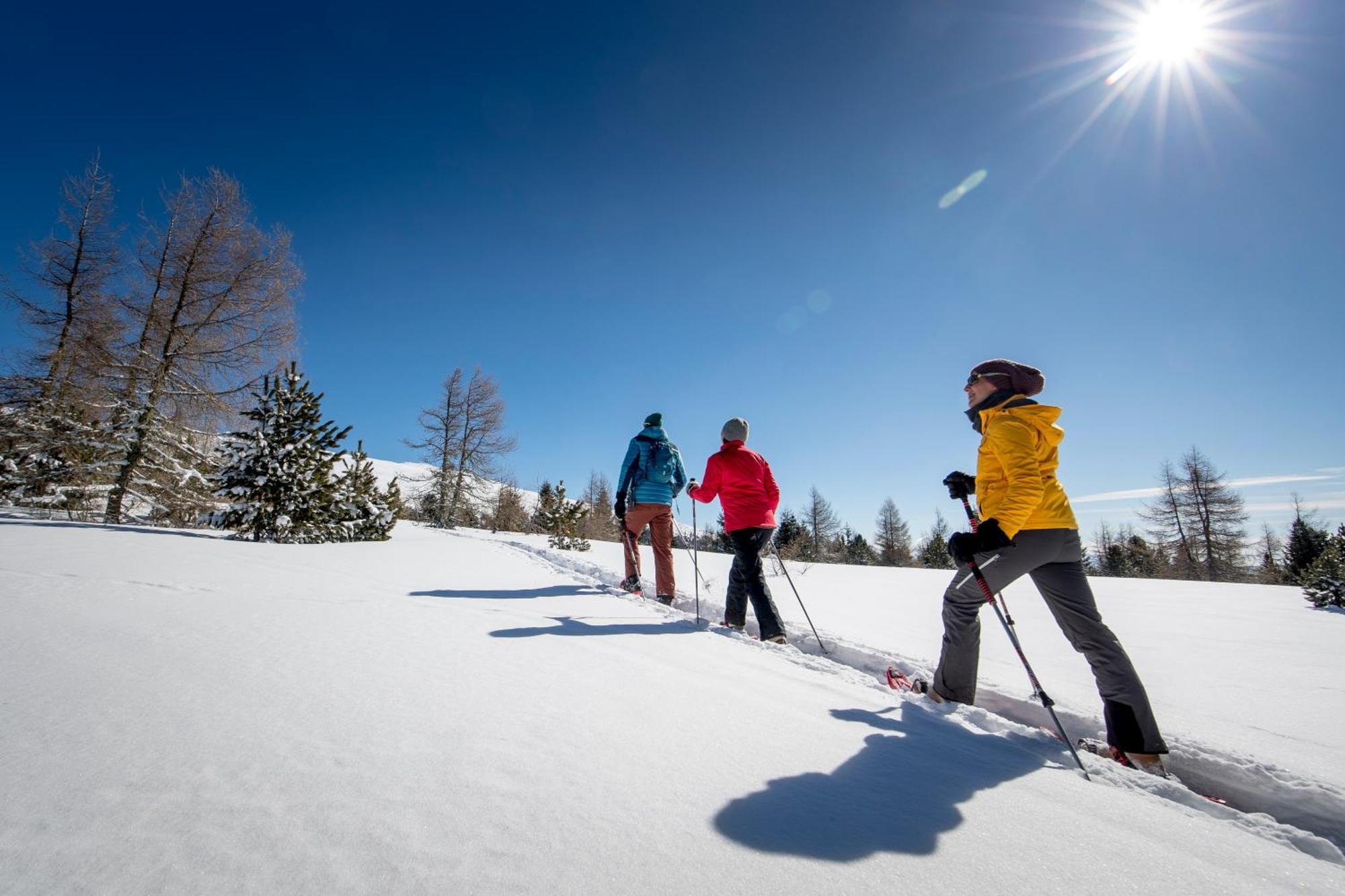 Feriendorf Murau By Alps Resorts Bagian luar foto