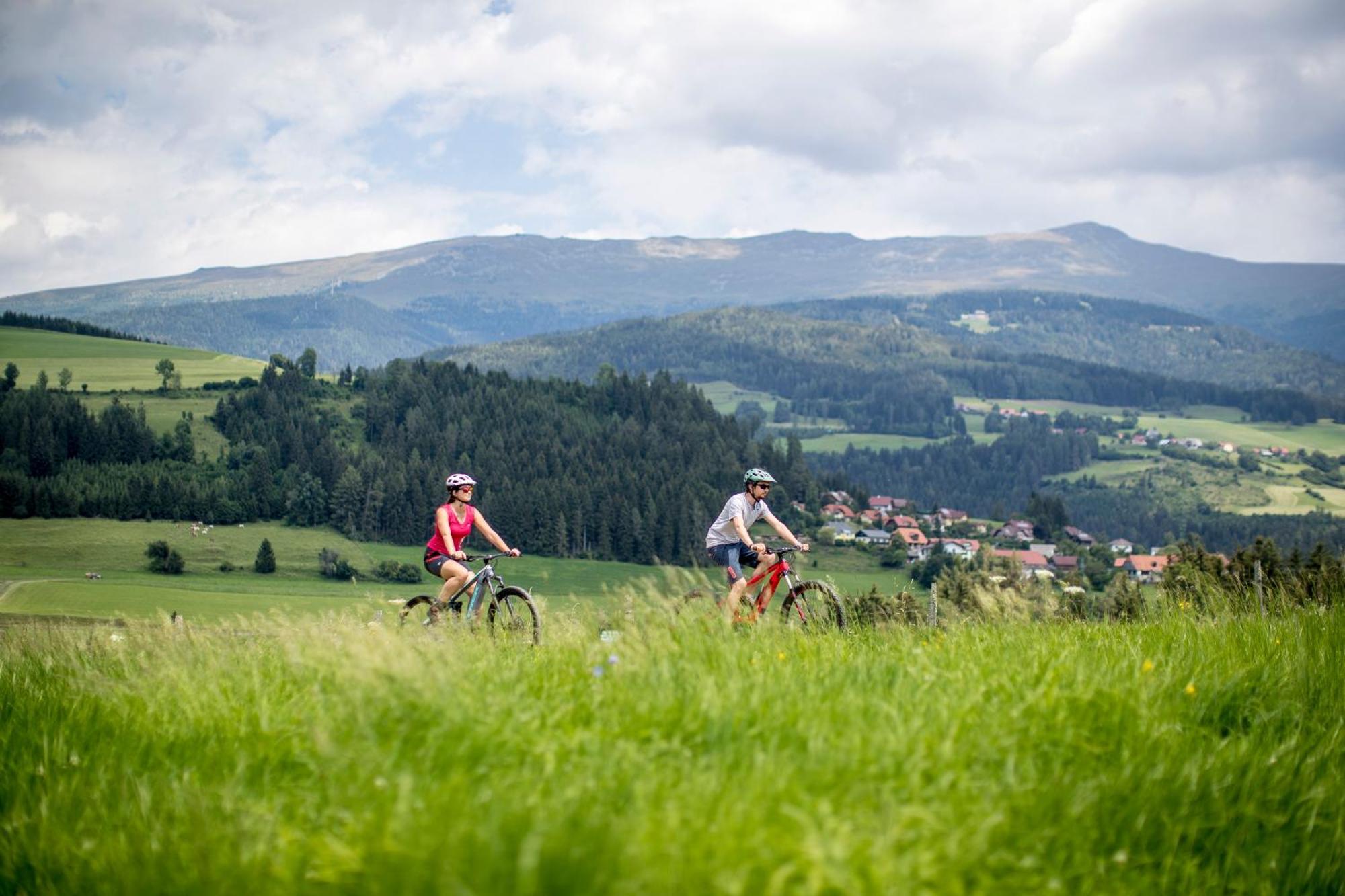 Feriendorf Murau By Alps Resorts Bagian luar foto